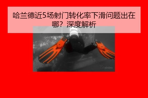 ha-lan-de-jin-chang-she-men-zhuan-hua-lv-xia-hua-wen-ti-chu-zai-na-shen-du-jie-xi-2-508.jpg