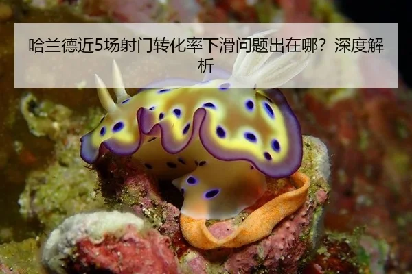 哈兰德近5场射门转化率下滑问题出在哪？深度解析